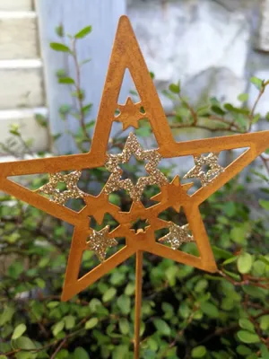 Produktbild von Topfstecker Stern Jak, Rost-Goldglitzer