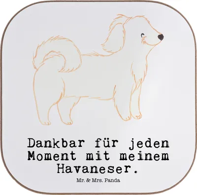Produktbild von Mr. & Mrs. Panda Untersetzer für Gläser Havaneser Moment - Weiß - Geschenk, Havi, Tassenuntersetzer, gläseruntersetzer, Coaster, Tischuntersetzer, Bichón Habanero