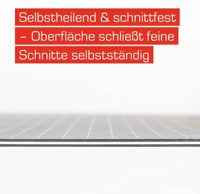 Produktbild von DAHLE Schneidematte Vantage schwarz 30 x 45 cm