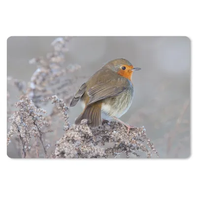 Produktbild von MuchoWow® Schreibtischunterlage Winter - Rotkehlchen - Vogel 60x40 cm - XXL Mauspad - Großes Mauspad