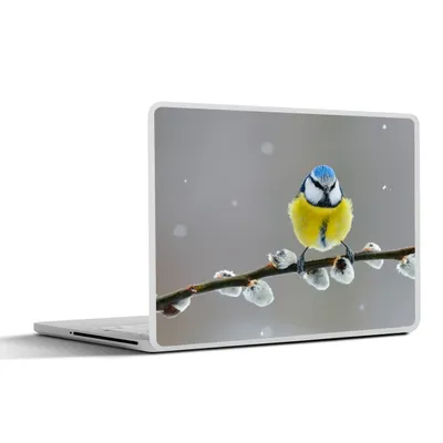 Produktbild von MuchoWow® Laptop Aufkleber Sticker Cover Blaumeise - Vogel - Zweig - Gelb - Blau 40x30 cm - Laptop Dekoration - Selbstklebend