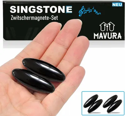 Produktbild von SINGSTONE Zwitschermagnete Magnete Rattle Snake Magnetsteine Klangstein Hämatit
