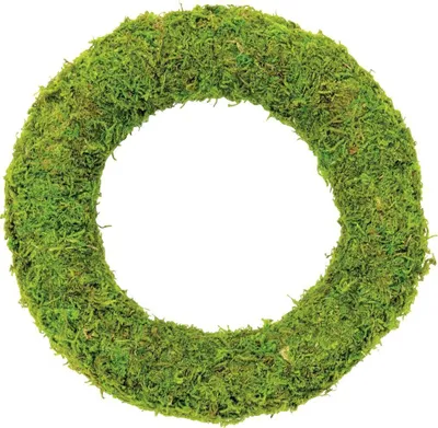 Produktbild von Glorex Mooskranz 20 cm
