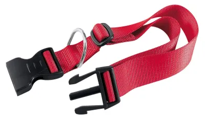 Productafbeelding van Nylon hondenhalsband 1,5 x 44 cm in rood