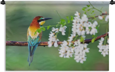 Produktbild von MuchoWow® Wandteppich Wandbehang Vogel - Bienenfresser - Blumen 60x40 cm Tapisserie Dekoration Wandtuch - Wanddekorationen