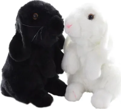 Image de Lapin en peluche 20cm - - ECO-FRIENDLY