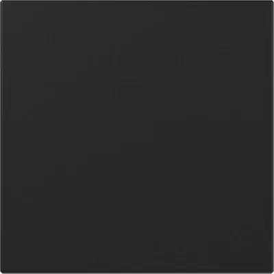 Productafbeelding van GIRA 3496005, scharnier, serie 55, zwart, model "wippe"
