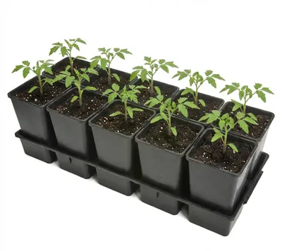 Produktbild von Garronda  Anzuchttray Pflanzenträger für Kulturtöpfe für Gewächshaus (Anzuchttray mit 10 x 1,7 L Töpfe) GD-KW-T