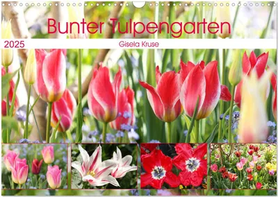 Produktbild von Bunter Tulpengarten (Wandkalender 2025 DIN A3 quer), CALVENDO Monatskalender