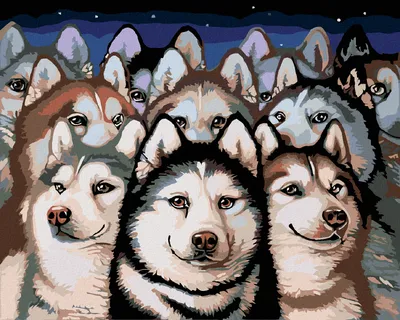 Image de Zuty - Peinture par numéros - TLUPA HUSKY, 40 x 50 cm, sans cadre et sans toile tendue