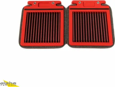 Immagine prodotto di Filtro aria BMC Racing per Kawasaki ZX12R (modello ZX12R ZXT20A)
