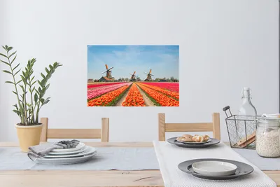 Produktbild von MuchoWow® - Wierderverwendbar - Selbstklebend