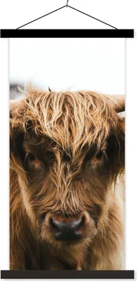 Produktbild von MuchoWow® Textilposter Schottisches Hochlandrind - Kuh - Gras - Tiere - Natur 60x120 cm mit schwarzem Rahmen - Magnete