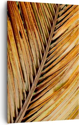 Produktbild von Bild auf Leinwand - Leinwandbild - Einteilig - Orange Blatt Tropisch - 80x120cm - Wand Bild - Wanddeko - Wandbilder - Leinwanddruck - Wanddekoration - Leinwand bilder - Wandbild - PA80x120-4876