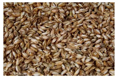 Produktbild von Nackenrolle, Knierolle, Yogarolle mit Bio-Dinkelspelz und 100% Baumwollbezug in Anthrazit