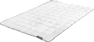 Produktbild von Naturfaserbettdecke Badenia Trendline® Wasch-Seide leicht - 200x200 cm
