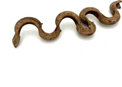 Obrázok produktu pre BioThai Liane 2-4cm/25cm