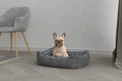 Productafbeelding van Beddegoed voor Honden en Katten, Dierenhuisje, 62 x 50 x 17 cm