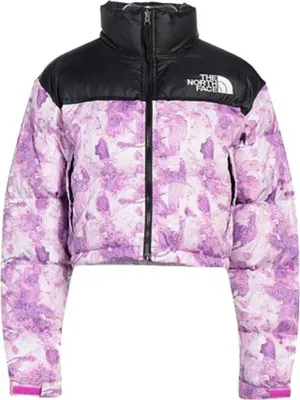Produktbild von Jacken The North Face Nuptse NF0A5GGEIAT
