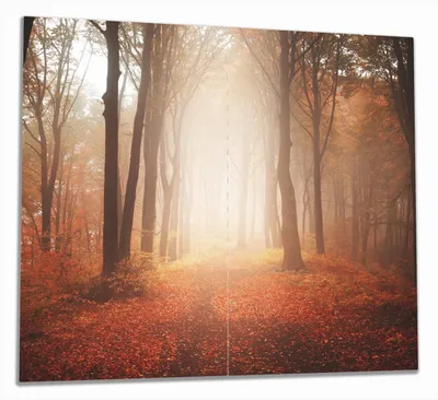 Produktbild von Wallario Herdabdeckplatte aus Glas, Größe 60 x 52 cm 2-teilig, Motiv Herbstwald - Weg zu einer Lichtung im Wald