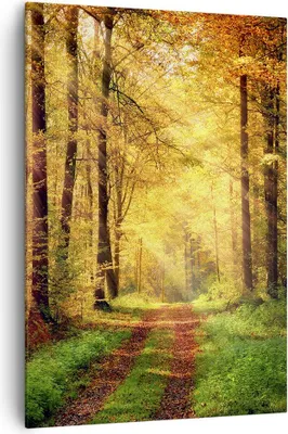 Produktbild von Bild auf Leinwand - Leinwandbild - Einteilig - Wald Baum Natur - 70x100cm - Wand Bild - Wanddeko - Wandbilder - Leinwanddruck - Kunstdruck - Wanddekoration - Leinwand bilder - Wandbild - PA70x100-3718