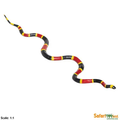 Produktbild von Safari 257429 Korallenschlange