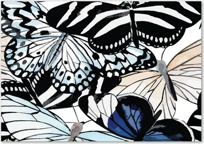 Produktbild von Tulup® Leinwandbild - 100x70 cm - Wandkunst - Drucke auf Leinwand - Leinwanddruck  - Tiere - Schwarz - Schmetterling Blumen