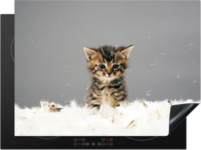 Produktbild von KitchenYeah© Herdabdeckplatte Katze - Kätzchen - Federn , 71x52cm, Küche Deko, Glaskeramikkochfeld Herdabdeckung, Abdeckplatte fùr Kochfeld