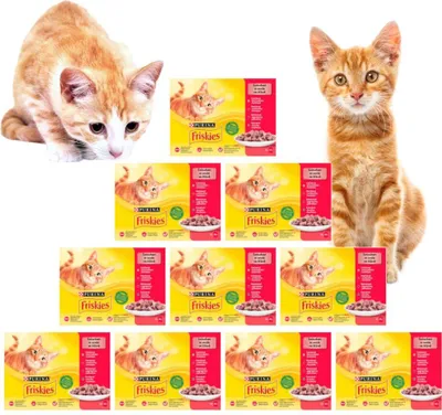Obrázek produktu pro FRISKIES Kočka 12x85g s kuřetem, hovězím, jehněčím, kachnou krmivo v šťávě, 17401