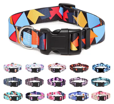 Produktbild von Hundehalsband aus Nylon, verstellbar und bequem für Hunde und Katzen