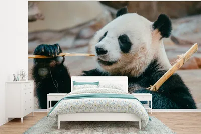 Produktbild von MuchoWow® Fototapete für Wohnzimmer oder Schlafzimmer Wandtapete Vinyl Motivtapete Panda - Bären - Bambus - 295x220 cm - Wand Tapete