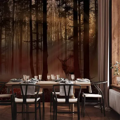 Produktbild von Vlies Fototapete - Mystical Forest - First Variant 350x256 cm Landschaften c-C-0431-a-b