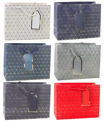 Productafbeelding van Geometrische Geschenktas Gouden Lijnen 23 X 18 X 10 cm