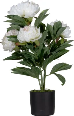 Obrázek produktu pro Paperflow umělá rostlina PAPIVB55 Pivoňka ro 55cm