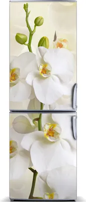 Produktbild von Tulup Kühlschrankdekoration - Magnetmatte - 70 cm x 190 cm - Magnet auf dem Kühlschrank - Orchidee