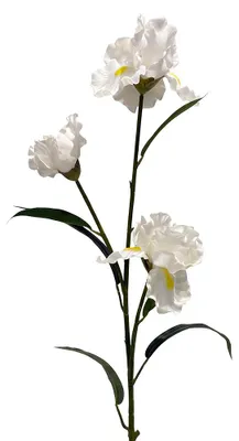 Produktbild von Clayre & Eef Kunstblume Weiß Kunststoff