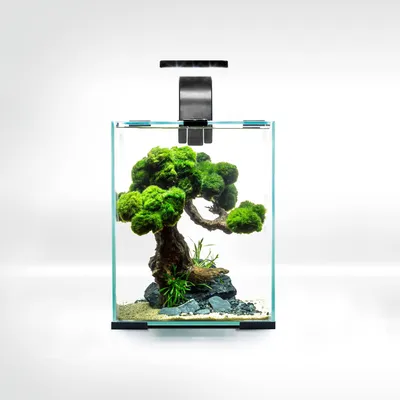 Immagine prodotto di Set di accessori per fotocamera Shrimp SMART D&N 10 ECOM, colore nero