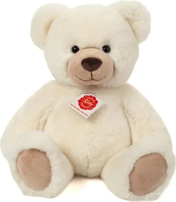 A studio shot of a teddy bear.