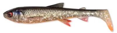 Obrázek produktu pro Savage Gear 3D Whitefish Shad 2 pcs Dirty Silver 17,5 cm 42 g Gumová nástraha