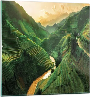 Produktbild von Bilder auf glas - Einteilig - Klappe Reis Vietnam - 60x60cm - Glasbilder - Wandbilder - Bilder - zum Aufhängen bereit - Wanddekoration aus Glas - Glas Bilder - Wandbild auf Glas - GAC60x60-4296
