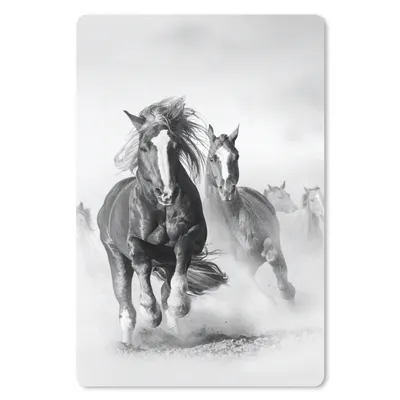 Obrázok produktu pre Podložka pod myš - Kone - Zvieratá - Ilustrácie - 18x27cm - Rohožka pod myš