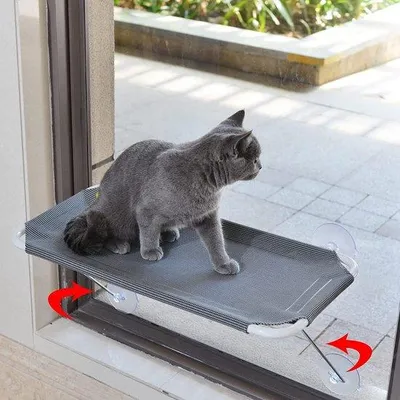 Produktbild von Famanu Katzenfensterstuhl 360° mit Metallunterstützung - Katzenhängematte
