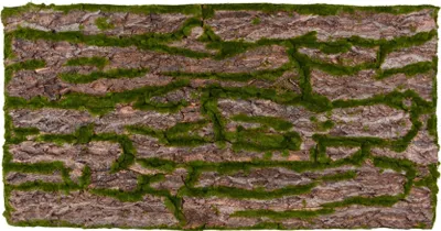 Produktbild von Repiterra® Terrarium Rückwand 3D Hintergrund Rinde Design für 120x60cm Terrarien