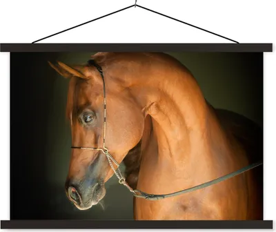 Produktbild von MuchoWow® Textilposter Pferd - Braun - Zaumzeug 90x60 cm mit schwarzem Rahmen - Aufhängungssatz