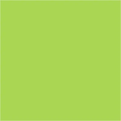 Image de EVA Foam Vellen Lichtgroen A4, 10st.