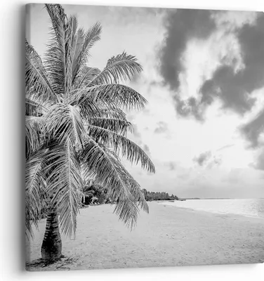 Produktbild von Bild auf Leinwand - Leinwandbild - Einteilig - Monochrom Strand Wolken - 40x40cm - Wand Bild - Wanddeko - Wandbilder - Leinwanddruck - Bilder - Wanddekoration - Leinwand bilder - AC40x40-4677