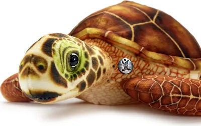 Produktbild von Schildkröte Kuscheltier Turtle Plüschtier Wasserschildkröte BROWNY