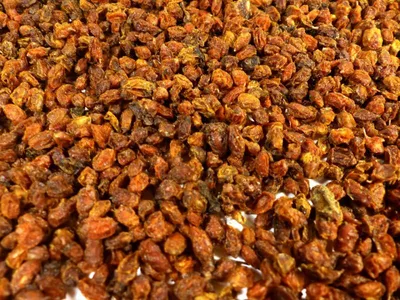 Produktbild von Sanddornbeeren ganz Naturideen® 100g