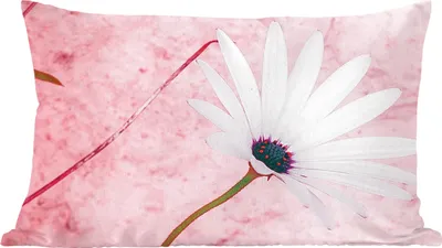 Produktbild von MuchoWow® Zierkissen Sofakissen Wohnzimmer Dekokissen 60x40 cm Blumen - Rosa - Vintage - Kopfkissen - Polster mit Foto