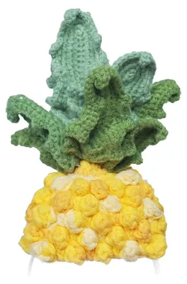 Produktbild von Gestricktes Kostüm für Loona Premium Ananas